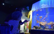 IMG_4479